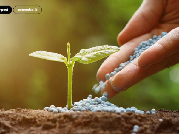 Wise-Tips-for-Using-Environmentally-Friendly-Chemicals