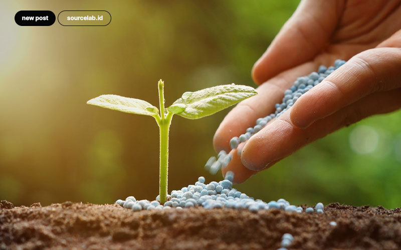 Wise-Tips-for-Using-Environmentally-Friendly-Chemicals